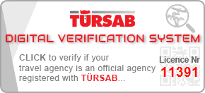 Türsab 11391